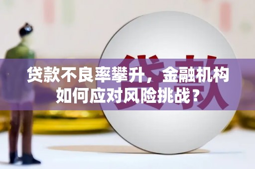 思南贷款不良率攀升，金融机构如何应对风险挑战？