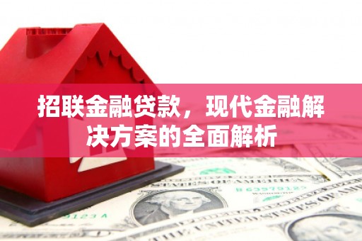思南招联金融贷款，现代金融解决方案的全面解析
