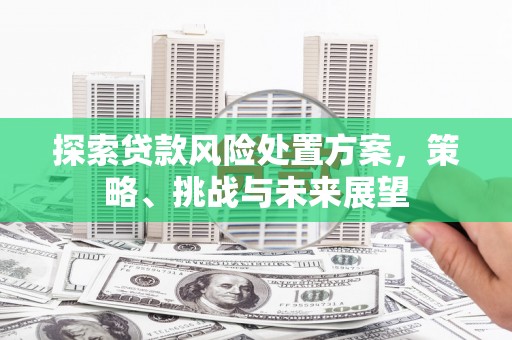 思南探索贷款风险处置方案，策略、挑战与未来展望