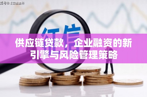 思南供应链贷款，企业融资的新引擎与风险管理策略