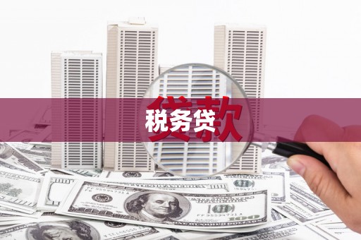 思南税务贷