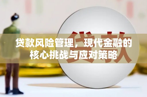 思南贷款风险管理，现代金融的核心挑战与应对策略
