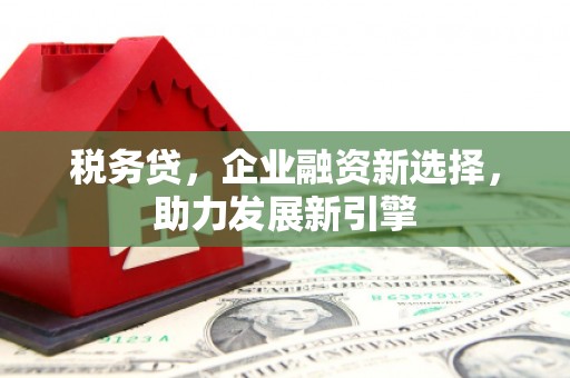 思南税务贷，企业融资新选择，助力发展新引擎