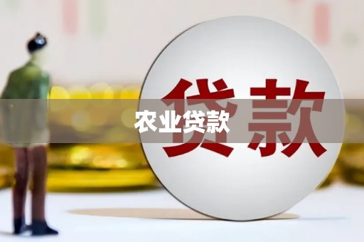 思南农业贷款