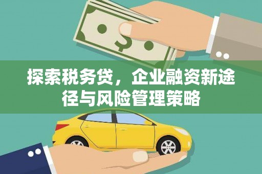 思南探索税务贷，企业融资新途径与风险管理策略