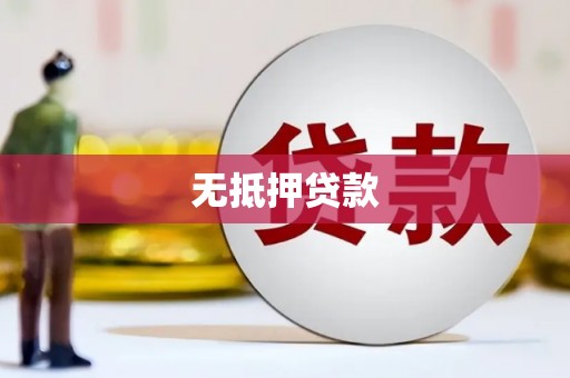 思南无抵押贷款