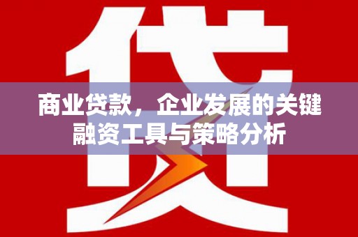 思南商业贷款，企业发展的关键融资工具与策略分析