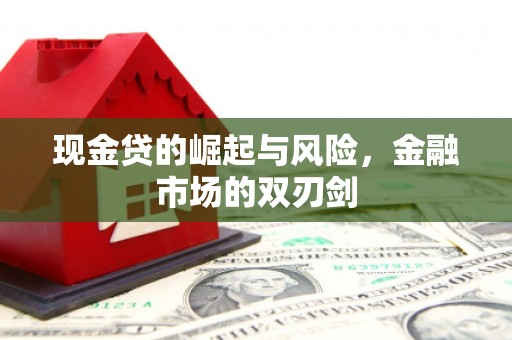 思南现金贷的崛起与风险，金融市场的双刃剑