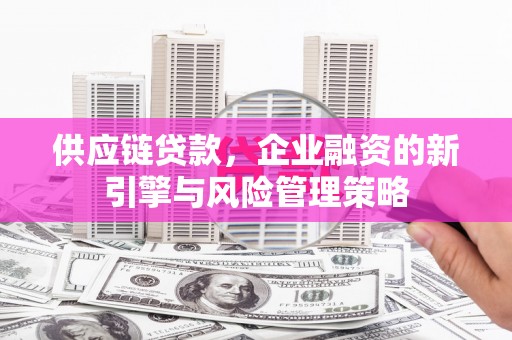 思南供应链贷款，企业融资的新引擎与风险管理策略