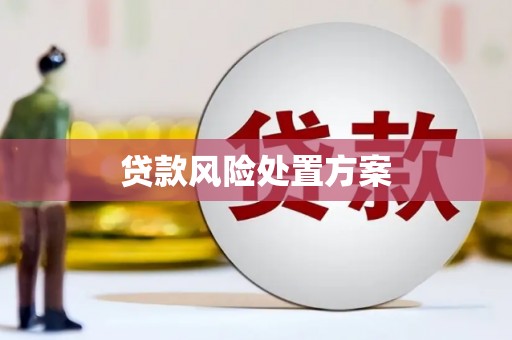 思南贷款风险处置方案