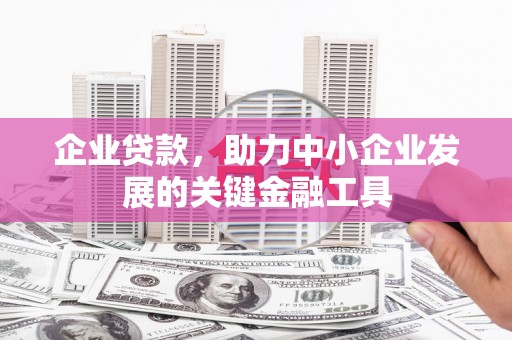 思南企业贷款，助力中小企业发展的关键金融工具