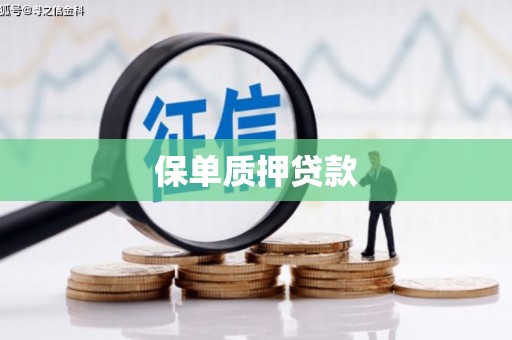 思南保单质押贷款