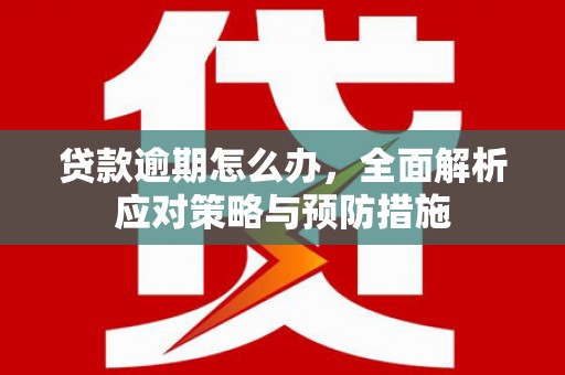 思南贷款逾期怎么办，全面解析应对策略与预防措施