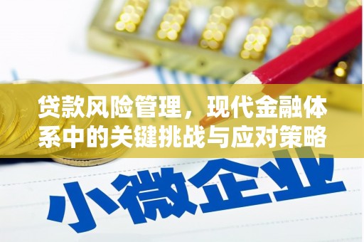思南贷款风险管理，现代金融体系中的关键挑战与应对策略