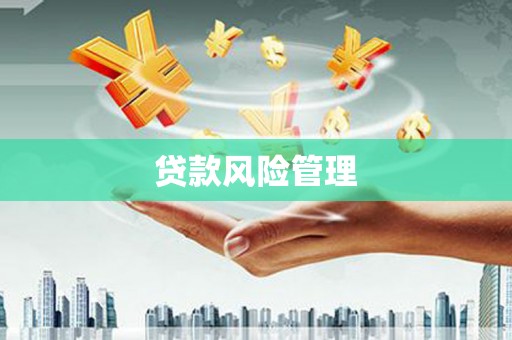 思南贷款风险管理