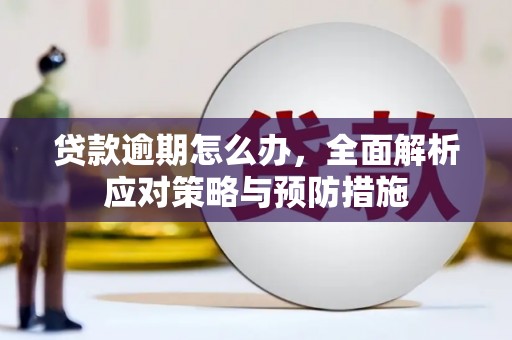 思南贷款逾期怎么办，全面解析应对策略与预防措施