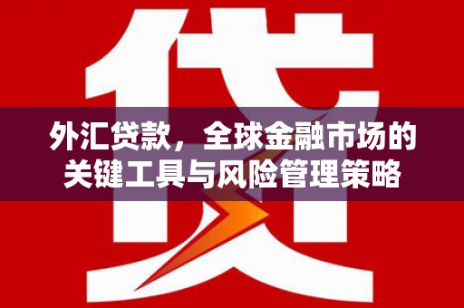 思南外汇贷款，全球金融市场的关键工具与风险管理策略