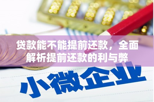 思南贷款能不能提前还款，全面解析提前还款的利与弊