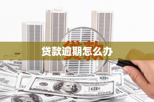 思南贷款逾期怎么办
