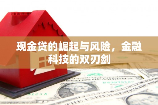 思南现金贷的崛起与风险，金融科技的双刃剑