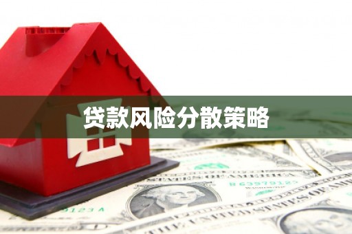 思南贷款风险分散策略