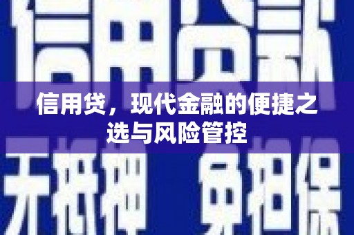 思南信用贷，现代金融的便捷之选与风险管控