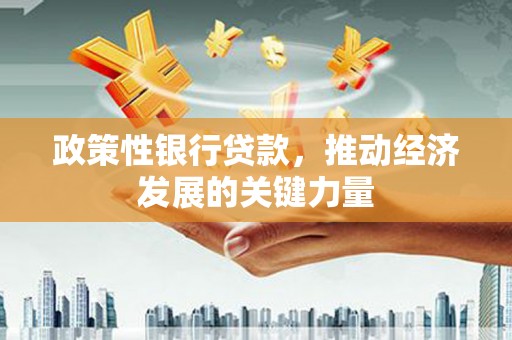 思南政策性银行贷款，推动经济发展的关键力量