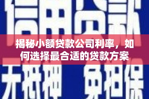 思南揭秘小额贷款公司利率，如何选择最合适的贷款方案
