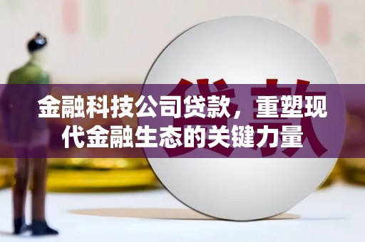 思南金融科技公司贷款，重塑现代金融生态的关键力量
