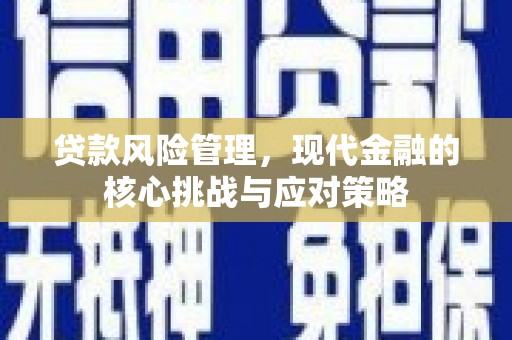 思南贷款风险管理，现代金融的核心挑战与应对策略