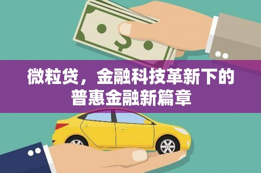 思南微粒贷，金融科技革新下的普惠金融新篇章