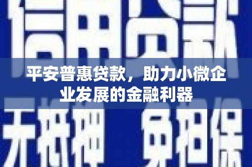 思南平安普惠贷款，助力小微企业发展的金融利器