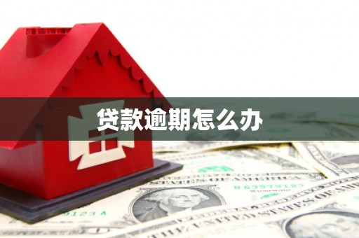 思南贷款逾期怎么办