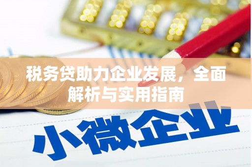思南税务贷助力企业发展，全面解析与实用指南