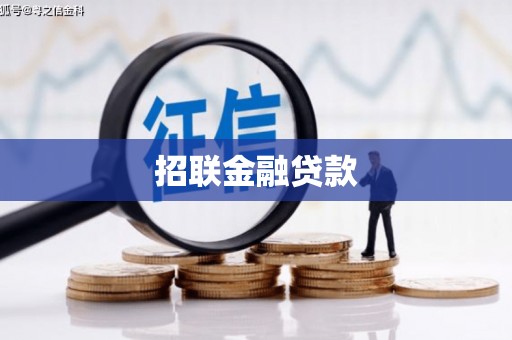 思南招联金融贷款