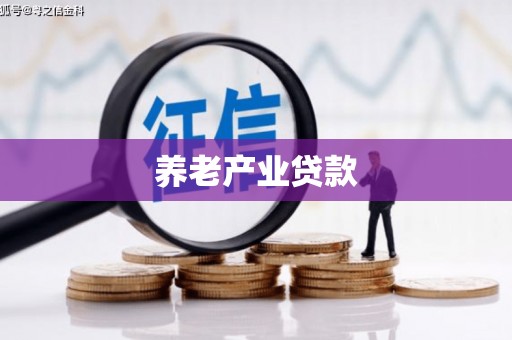 思南养老产业贷款