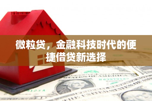 思南微粒贷，金融科技时代的便捷借贷新选择