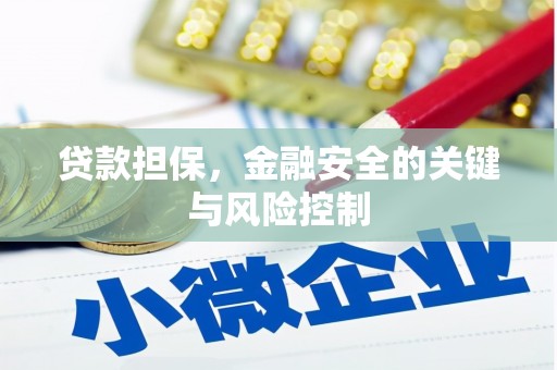 思南贷款担保，金融安全的关键与风险控制