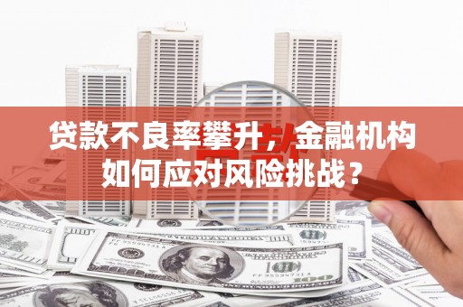 思南贷款不良率攀升，金融机构如何应对风险挑战？