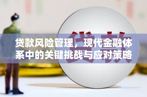 思南贷款风险管理，现代金融体系中的关键挑战与应对策略
