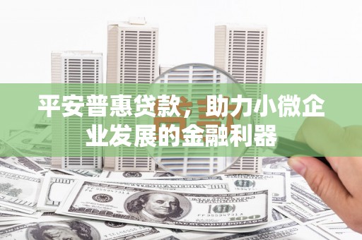 思南平安普惠贷款，助力小微企业发展的金融利器