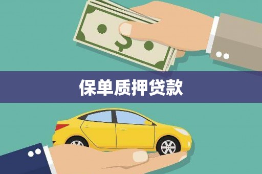 思南保单质押贷款