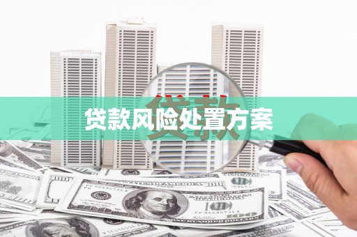 思南贷款风险处置方案