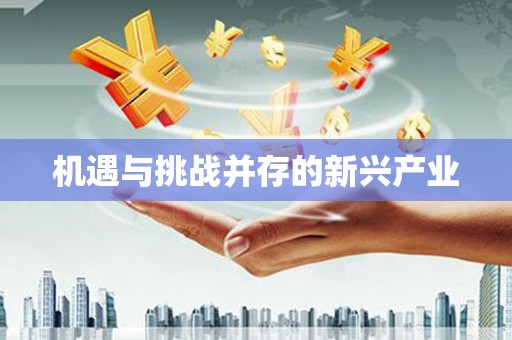思南机遇与挑战并存的新兴产业