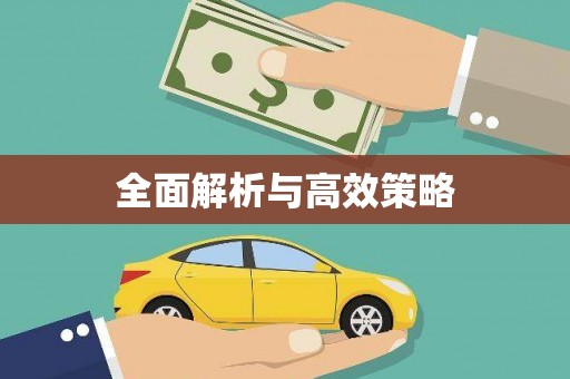 思南全面解析与高效策略