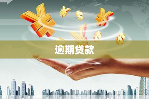 思南逾期贷款