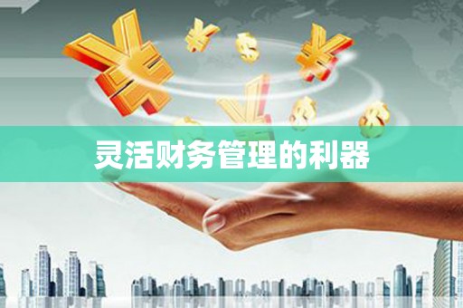 思南灵活财务管理的利器