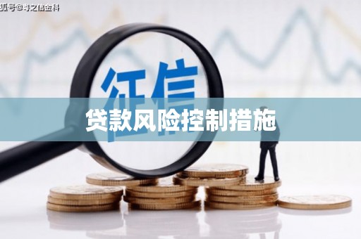 思南贷款风险控制措施