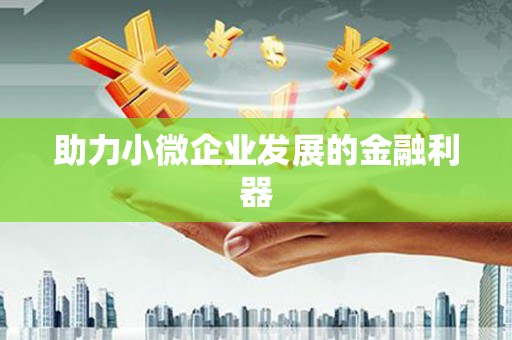思南助力小微企业发展的金融利器