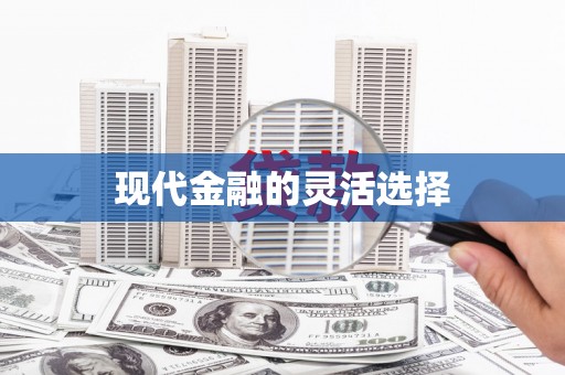 思南现代金融的灵活选择